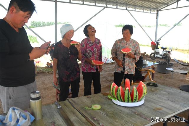 城乡西瓜价格悬殊，探究背后原因