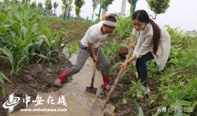 90后留洋女孩回乡种草药，心怀梦想脚踏实地