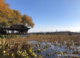 浙江人气最旺十大景点及亮点全解析