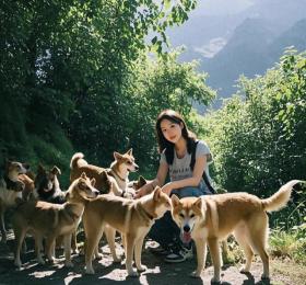 网红博主吴霜去世，田园犬陪伴成永恒记忆