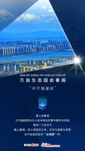 小说A市成现实打卡地，网友追问太哈顿拍摄坐标