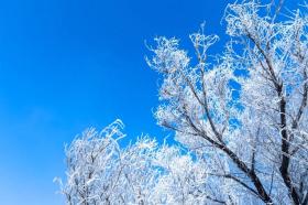 陕西推出冰雪旅游精品线路，榆林邀你共赏雪景！