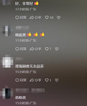 网友评论截图