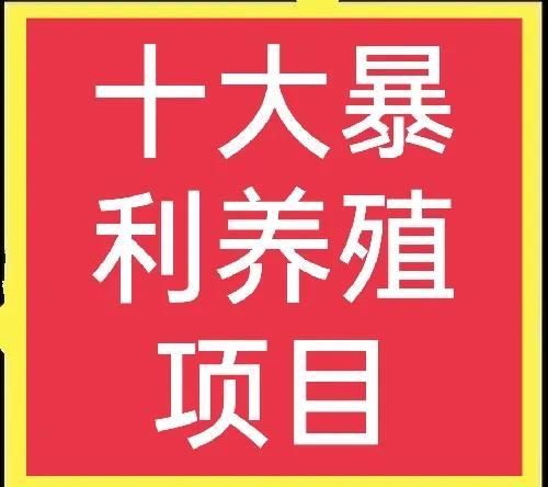 十大高收益养殖项目揭秘，赚钱良机不容错过