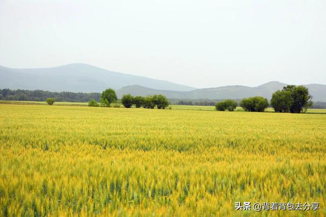 内蒙古必游十大景点，去过九处才算真正玩转草原天堂