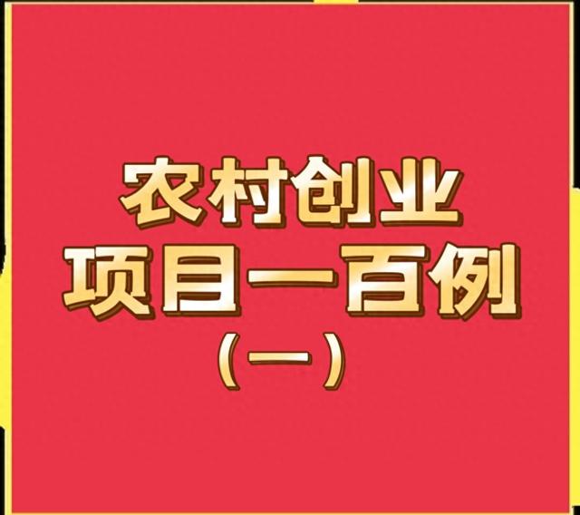 农村创业新指南，一百例零成本低技术创业项目精选