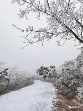 山东局部迎大到暴雪，日照市民盼雪至