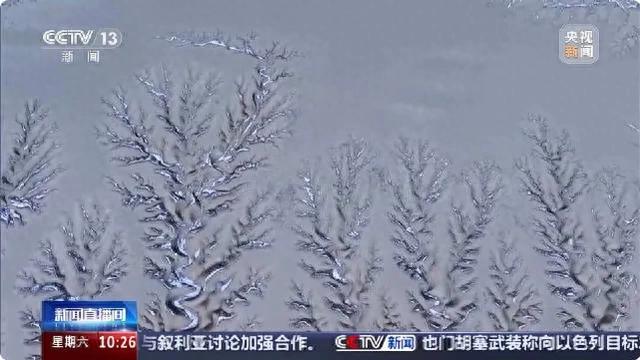 新疆雪后大地之树惊现，自然奇观引爆网络热议！